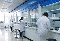 ca88手机客户端(安卓/苹果)CA88会员登录入口