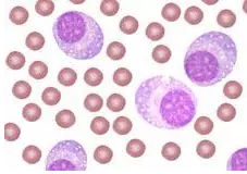 ca88手机客户端(安卓/苹果)CA88会员登录入口