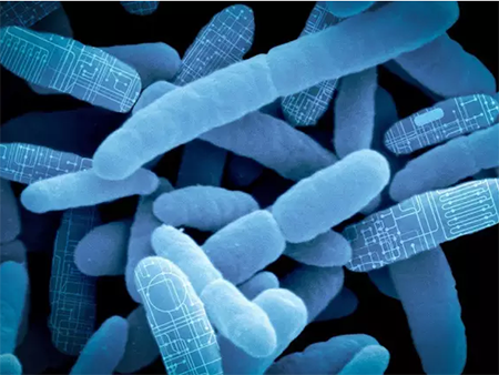 ca88手机客户端(安卓/苹果)CA88会员登录入口