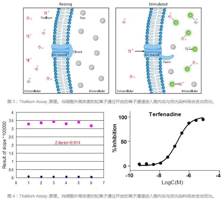ca88手机客户端(安卓/苹果)CA88会员登录入口