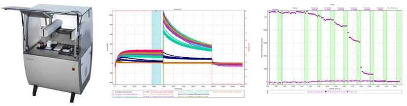 ca88手机客户端(安卓/苹果)CA88会员登录入口