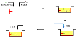 ca88手机客户端(安卓/苹果)CA88会员登录入口