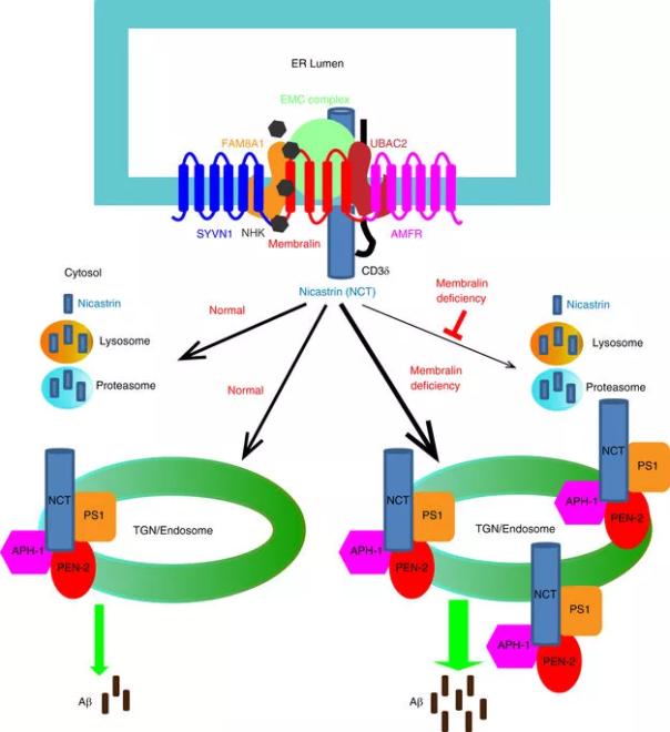 ca88手机客户端(安卓/苹果)CA88会员登录入口