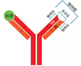 ca88手机客户端(安卓/苹果)CA88会员登录入口