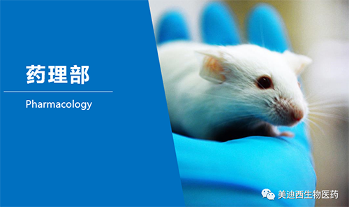 CA88药理部开发了肺癌、结肠癌、胃癌等12种PDX模子。。。。