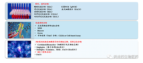 CA88生物手艺药物剖析部服务内容