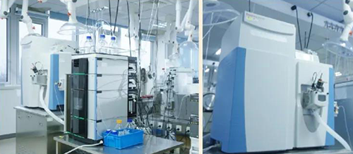 CA88DMPK剖析服务