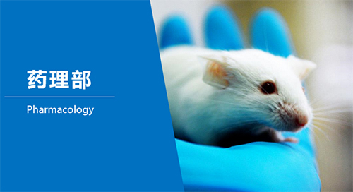CA88临床前研究-药理部