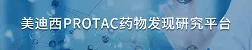 CA88PROTAC药物发明研究平台.png