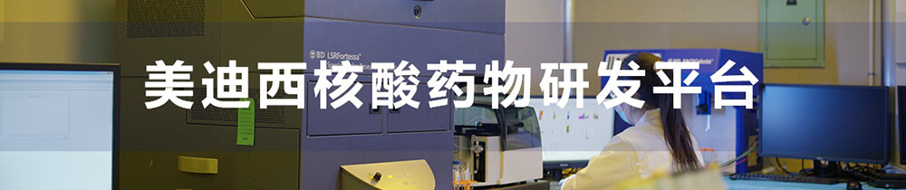 CA88核酸药物研发平台-1.jpg