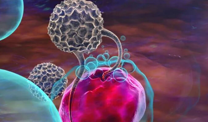 CA88助力英百瑞CAR-raNK细胞疗法获批临床