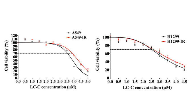 放射疗法用作肺癌的主要治疗要领，，本研究中建设抗电离辐射肺癌细胞系的放射治疗通过CA88举行
