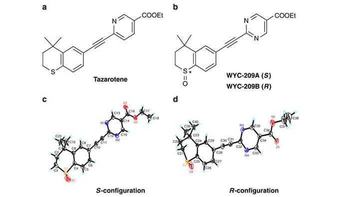 WYC-209可抑制恶性小鼠玄色素瘤肿瘤再生细胞增殖，，，，，，本研究中SPR通过CA88使用Biacore 8K举行
