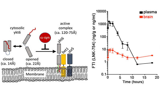 法尼基转移酶抑制剂LNK-754单次口服后即可快速穿过血脑屏障，，，，，，本研究中PK剖析通过CA88举行