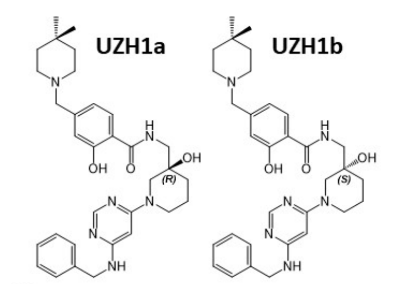 研究职员报告了一种具有细胞渗透性的选择性METTL3纳摩尔抑制剂UZH1a，，，，作者谢谢CA88合成了UZH1a和UZH1b