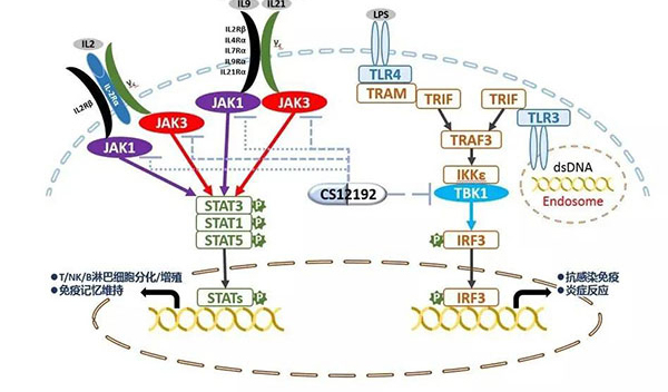 自身免疫疾病或迎新疗法！CA88助力微芯生物CS12192获批FDA.jpg