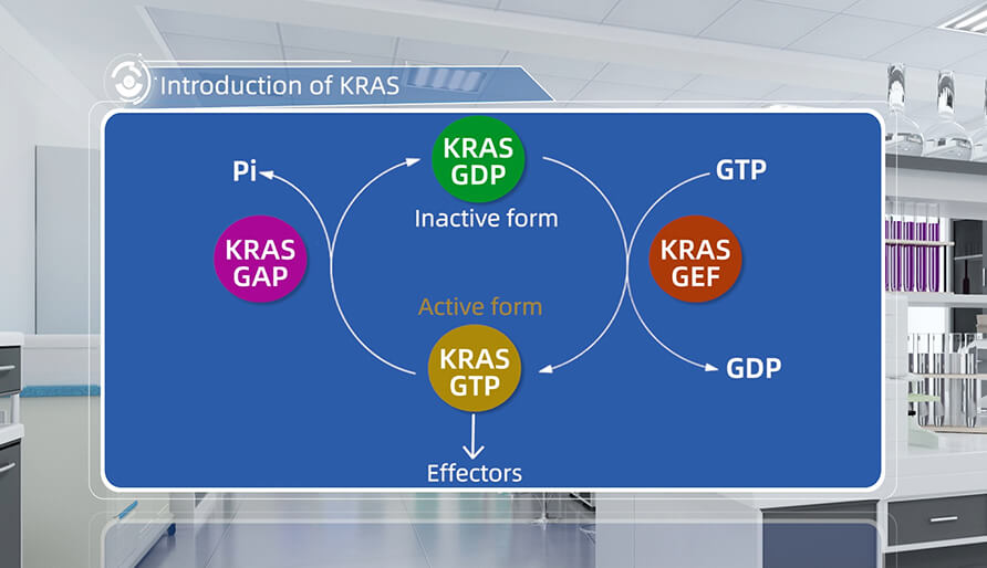 什么是KRAS？？？