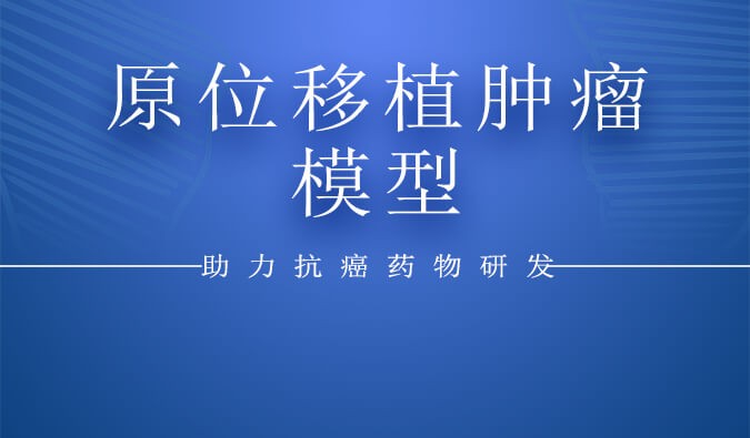原位移植肿瘤模子.jpg
