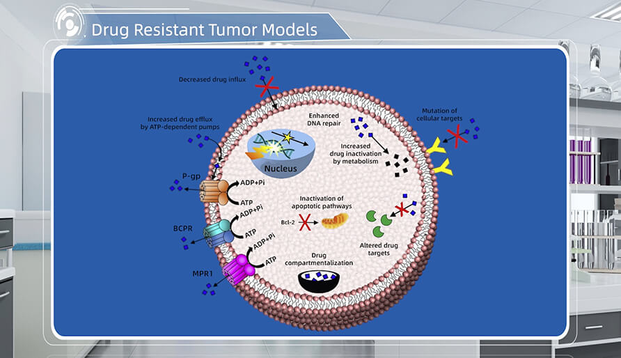 肿瘤耐药机制是什么？？？