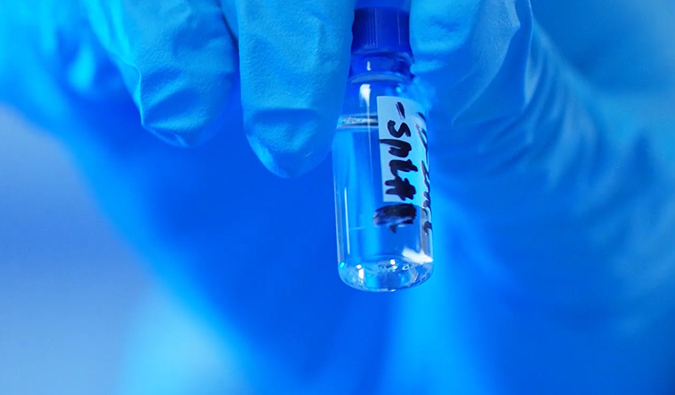 GLP-1“竞速赛”何以夺魁？？？？？？