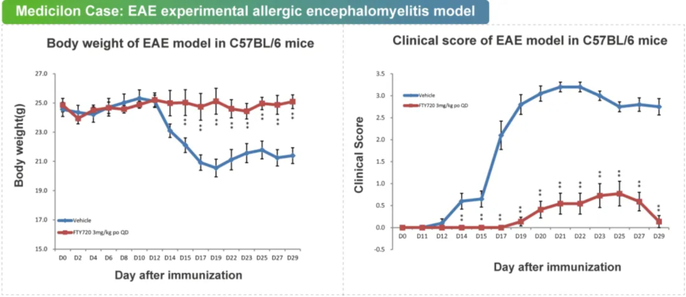 04 实验性自身免疫性脑脊髓炎模子.jpg