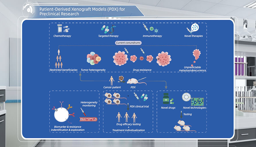 什么是临床前研究的PDX（人源肿瘤异种移植）模子？？？？