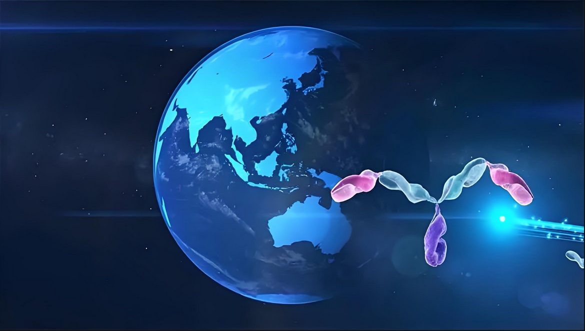 价值屡履历证！CA88祝贺相助同伴岸迈生物BCMA×CD3双抗EMB-06授权出海