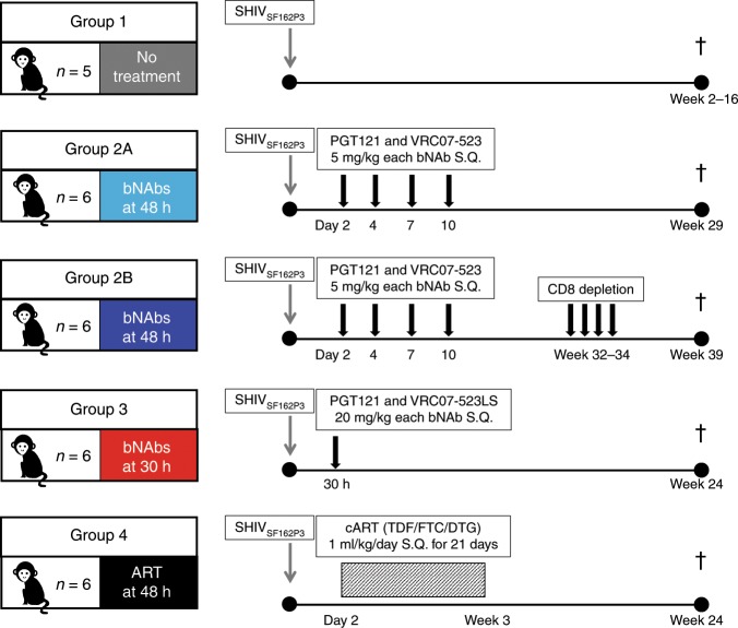抗逆转录病毒疗法(ART)预防围产期HIV熏染，，，，本研究中多替拉韦钠盐和游离态均由CA88提供